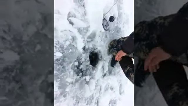 Рыбалка 10 декабря! Волгоградская область Киквидзенский район!Отдых, Рзвлечение! смотреть онлайн