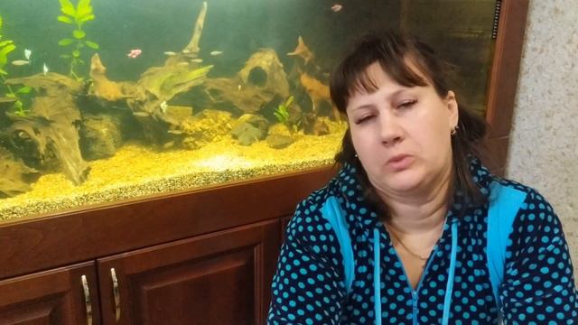 Домашний Влог.Черенки гортензий и хвойных.Моя новая куколка.Пеку хлеб. смотреть онлайн