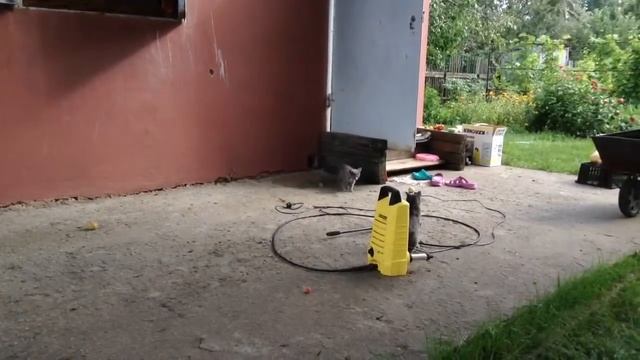 Дача. Бездомный котенок играет смотреть онлайн