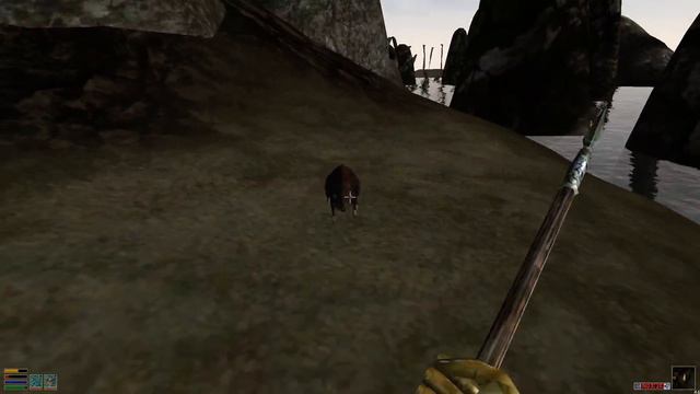 Let's play Morrowind part 6 Naked liches and weresharks! смотреть онлайн