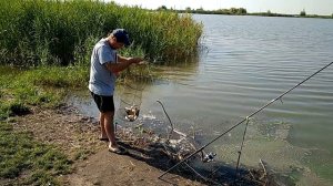 Рыбалка на донки и удочки,так же прикормка для рыбы