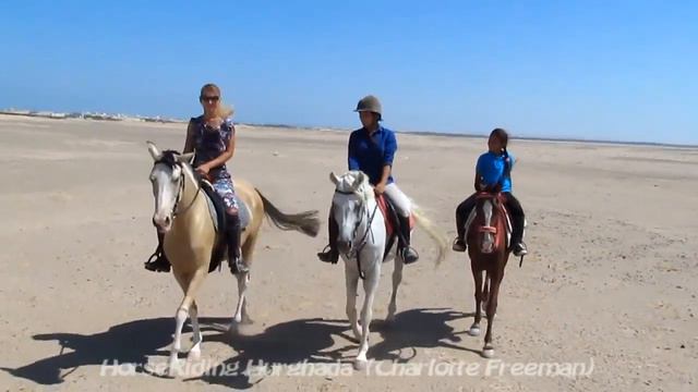 HorseTrips Iryna Hurghada. Отдых в Хургаде. Экскурсии в Хургаде. Horse Riding Hurghada. Stable смотреть онлайн