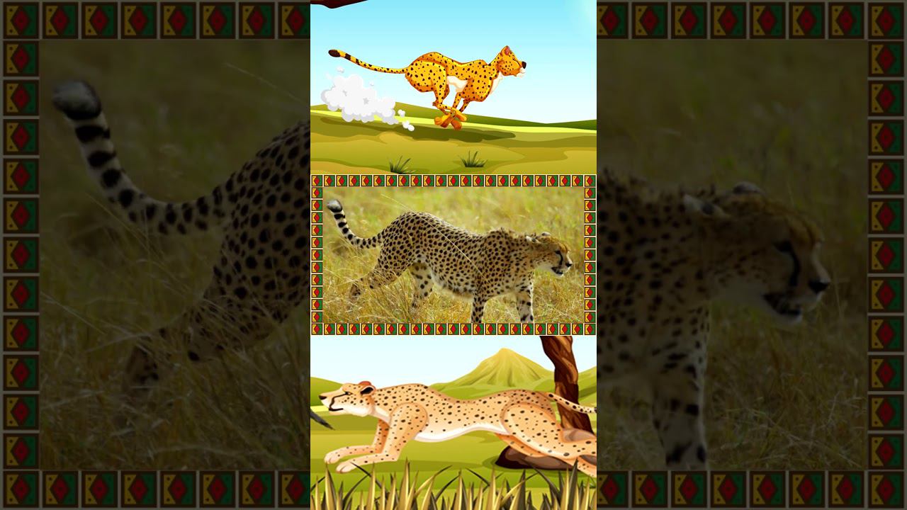 Гепард - Удивительные животные для детей #мультики #учисьиграй #крошкаантошка #развивающиемультики смотреть онлайн