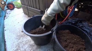 Как правильно посадить нимфею или кувшинку в пруд на даче