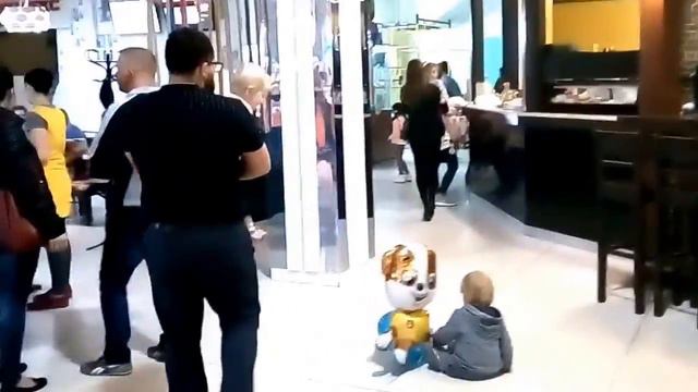 Калиновка "ОККО", Житомир шашлык, "Два гуся", "Рудь" - фирменное кафе смотреть онлайн