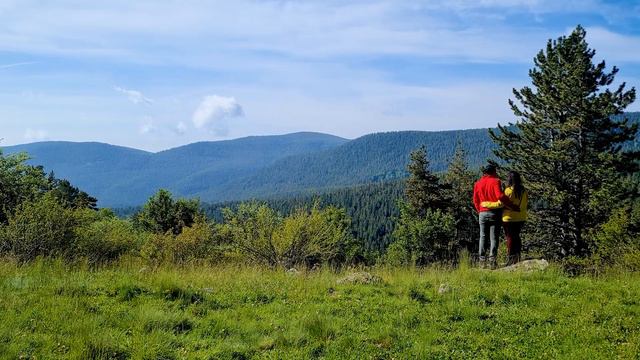 Karavan Kampı: Göl Kenarındaki Ormanda  Huzurlu Bir Doğa Kaçamağı | Pabuçlar Firarda