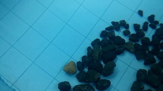 ???ЧТО ЗА КАМНИ НА ДНЕ БАССЕЙНА????Лайфхак. родниковая вода???ЧЕРНЫЙКРЕМЕНЬ.РФ??? смотреть онлайн