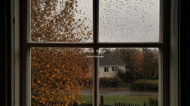 An Autumn Comfort Playlist (classical + Instrumental)