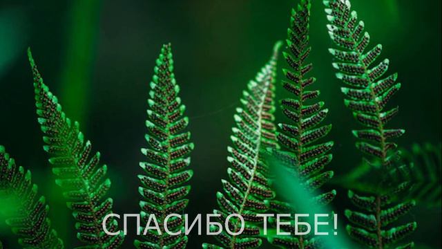 Здравствуй, Я – мой любимый! смотреть онлайн