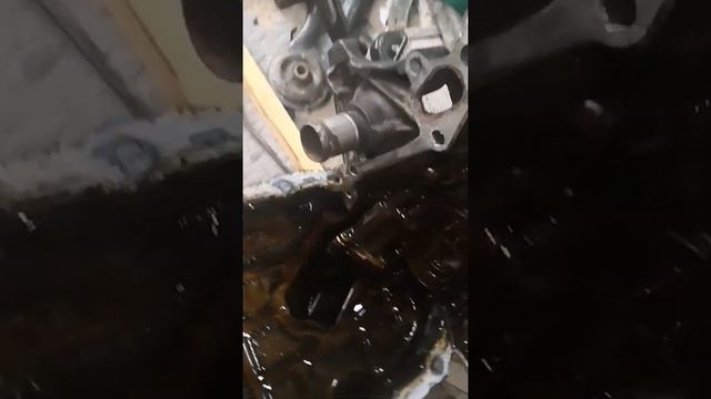 Peugeot 107 timing chain cover removal смотреть онлайн
