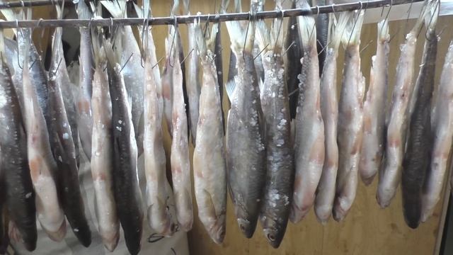 КАК ВЯЛИТЬ РЫБУ, Вкусно, Плотва, Чебак, Вобла,Елец, Сушёная рыба,закуска к пиву, смотреть онлайн
