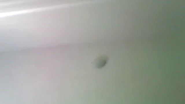 Получение евросубсидий на сельский туризм в Болгарии смотреть онлайн