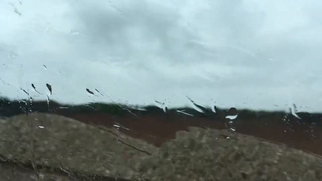 Филармония, Комары, Лучшая Женщина || ВЛОГ смотреть онлайн