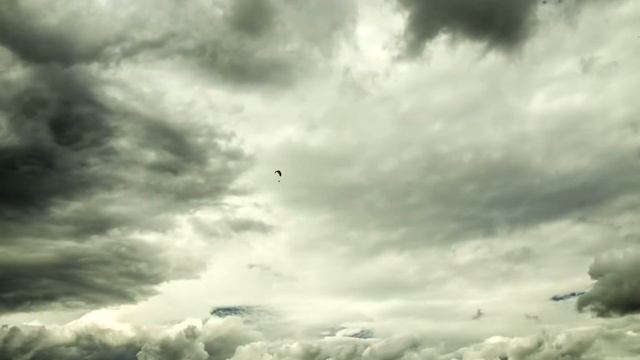 Time lapse #8 смотреть онлайн