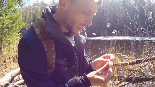 Спиннинг весной и РОЗЫГРЫШ. Гребной канал. Колбаски на природе. смотреть онлайн