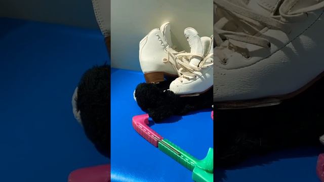 Первый выход на лёд!!! Я должен разбудить тебя⚡️