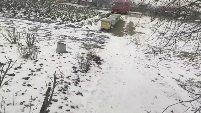 У ПЧЕЛ ЗАКОНЧИЛСЯ МЕД !!! 18.02.2021 смотреть онлайн