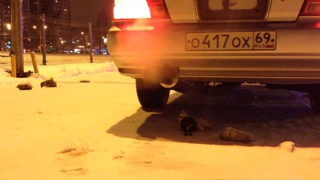 Выхлоп Laurel 35 смотреть онлайн