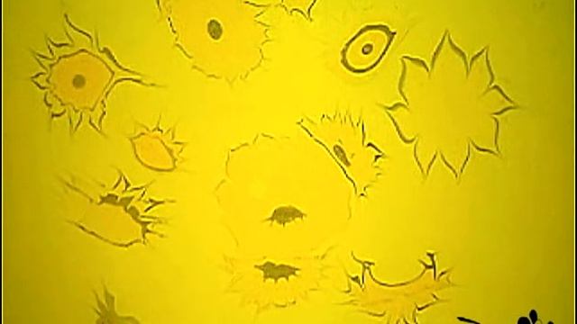Водная анимация "Подсолнухи" Water Animation "Sunflowers" смотреть онлайн