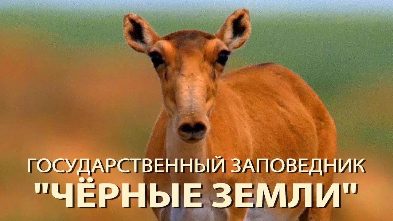 Заповедник 