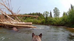 Река Мундыбаш. Сплав летом 2023 года.