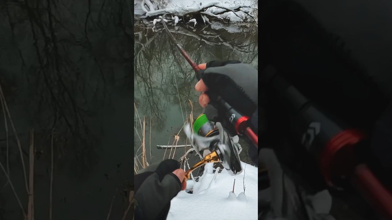 Зима, речка и щукозавры #рыбалка #спиннинг #щука смотреть онлайн