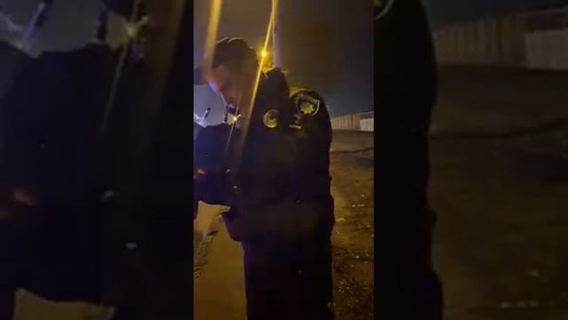 Одесса.Гальчинский МУСОРСКАЯ СОБАКА смотреть онлайн