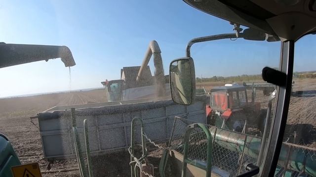 продолжаем уборку семечки. смотреть онлайн