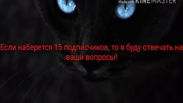 Ещё я хочу кое-что сказать!!!!! смотреть онлайн