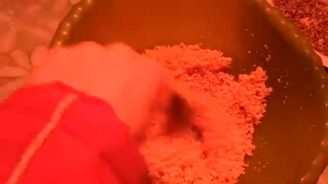 как можно быстро откормить перепелов смотреть онлайн