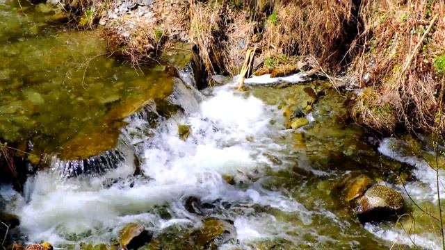 Водопады | оз. Телецкое | ГК Телецкий | Алтай 2022 | 4K смотреть онлайн