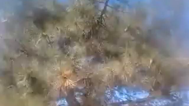 парк лески 3 смотреть онлайн