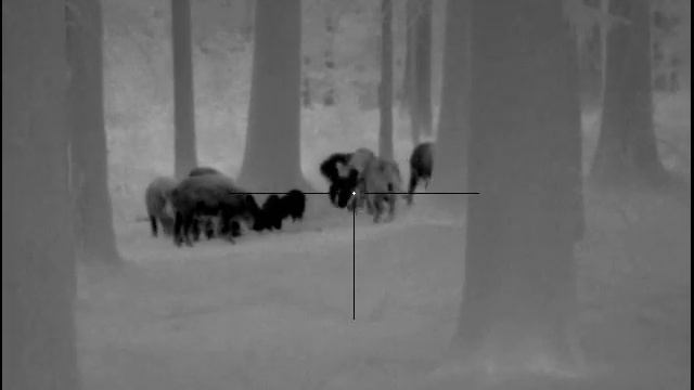 Pulsar trail XQ38 смотреть онлайн