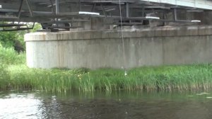 Вот это улов на поисковый магнит.  Шок от находок.  Поиск золота и артефактов на магнит...