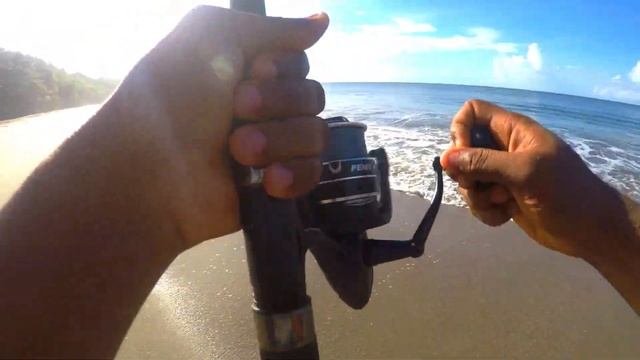 Surf Fishing For Big Croakers (1/4) смотреть онлайн
