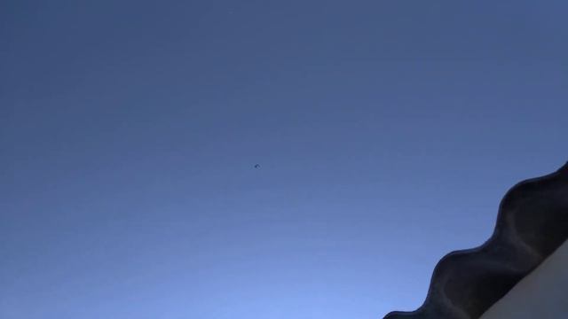 15. 02. 21 г. Одной самки нет. смотреть онлайн
