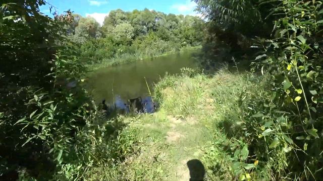 День рождения канала. 2 ночи на берегу. Короткий видеоотчет. смотреть онлайн