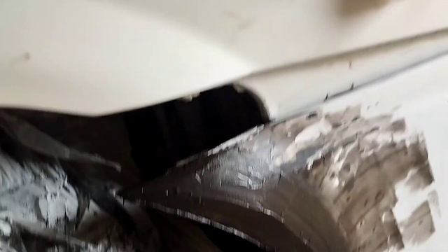 Маздофан: болельщик Mazda