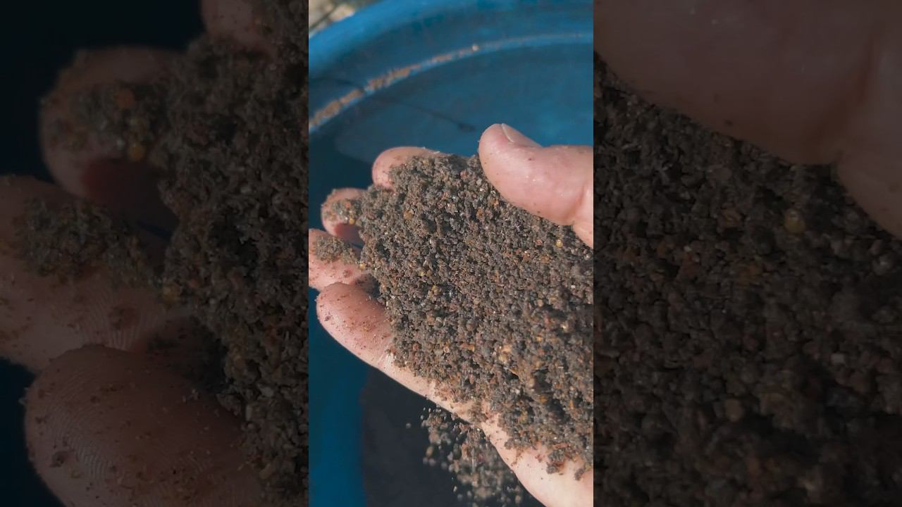 Лучшая прикормка для любого водоёма. Озеро Абрау не исключение! смотреть онлайн