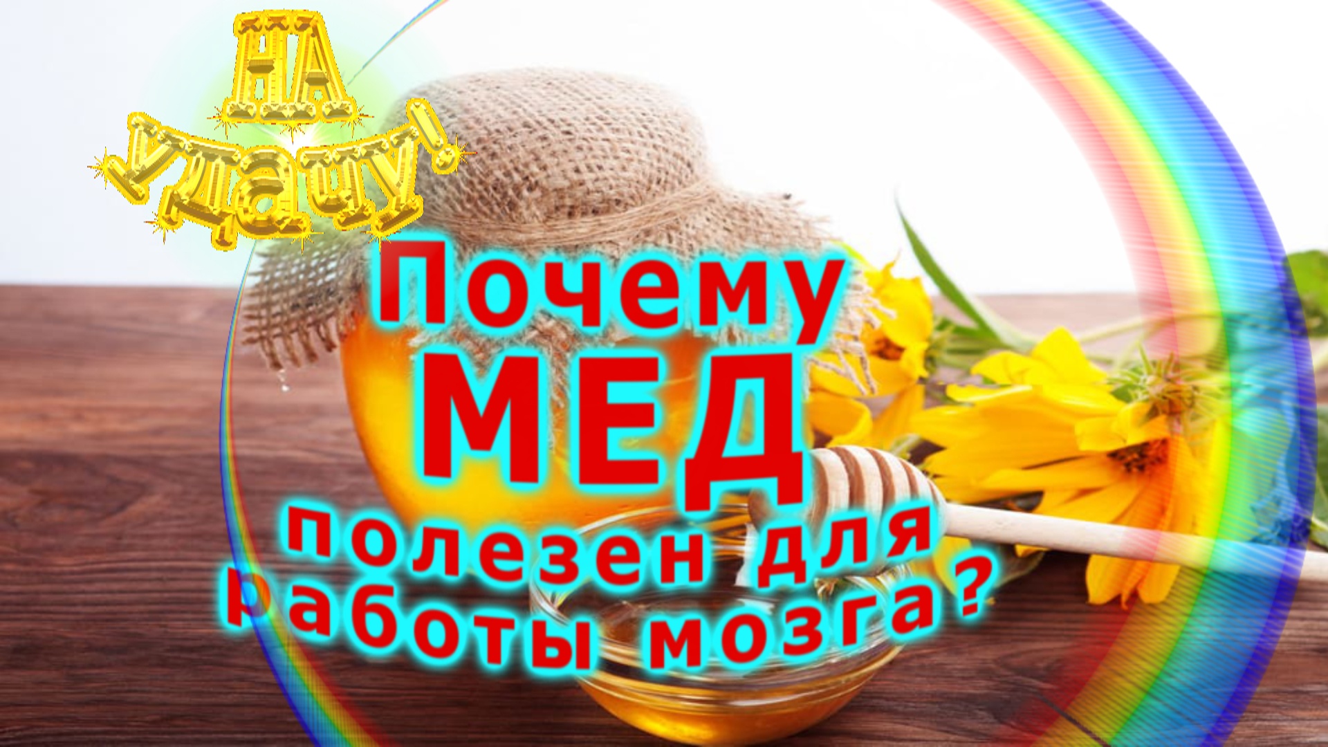 Почему мед полезен для работы мозга смотреть онлайн