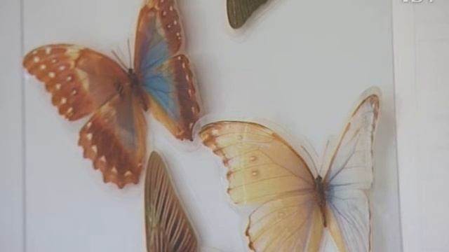 Что глотают дети, пока мамы в Интернете? смотреть онлайн