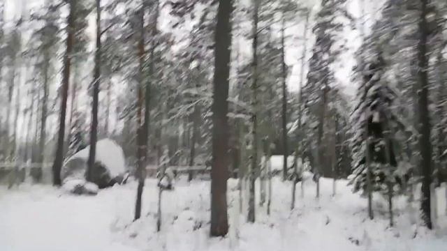 Средневековый Выборг и Нордическая природа / Путешествие на один день смотреть онлайн