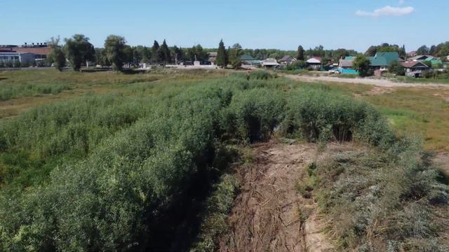 Тайные символы проявились на пруду в Благовещенске.