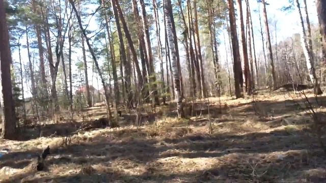 Лесок смотреть онлайн