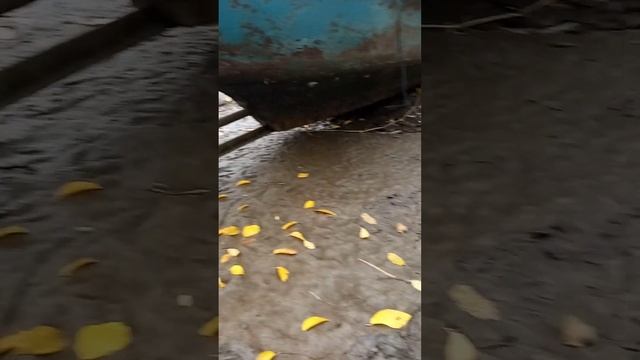 мотолодка л6