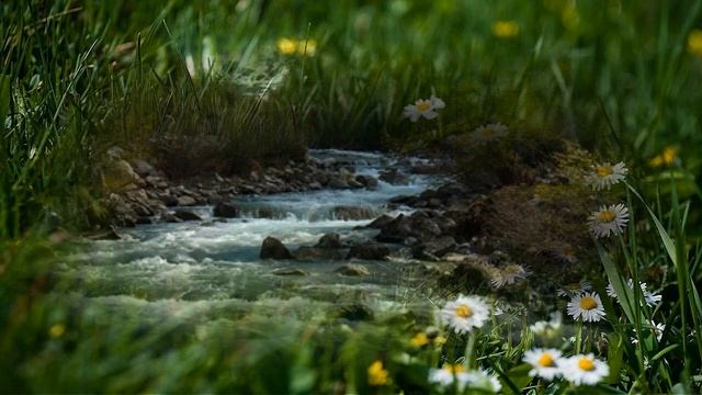 Сергей Чекалин Diamond смотреть онлайн