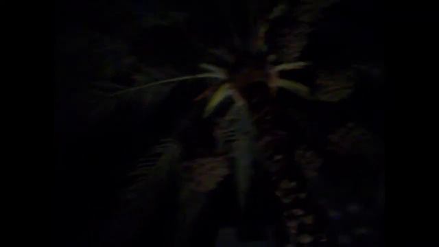 mini tour of baron palms resort смотреть онлайн