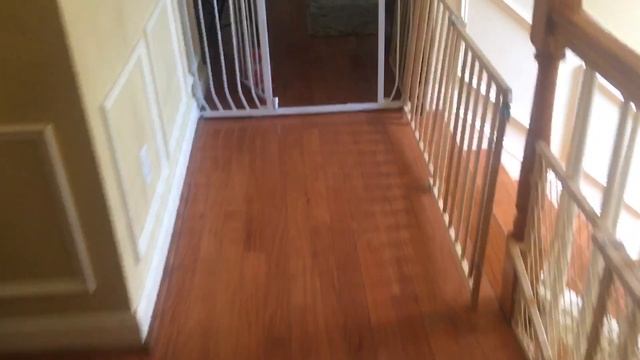 WPS PIN HP PRINTER #hp #hpsupport #wps