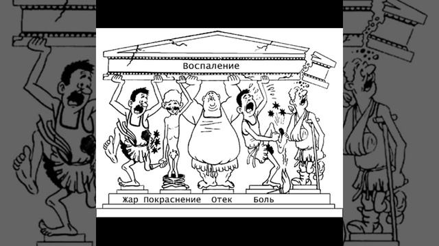 Как наладить работу пищеварительных ферментов смотреть онлайн