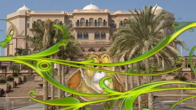 калиф  аист